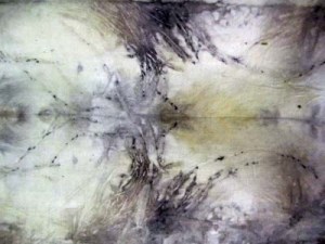 Dyed result - detail