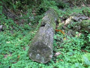 Large stalactite at Marae Orongo - Atiu