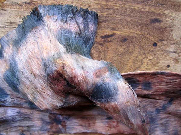 Beating the tapa again