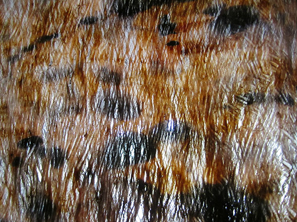 Tapa thin enough to see thru