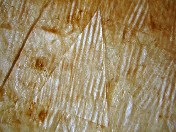 tapa with arrow watermark