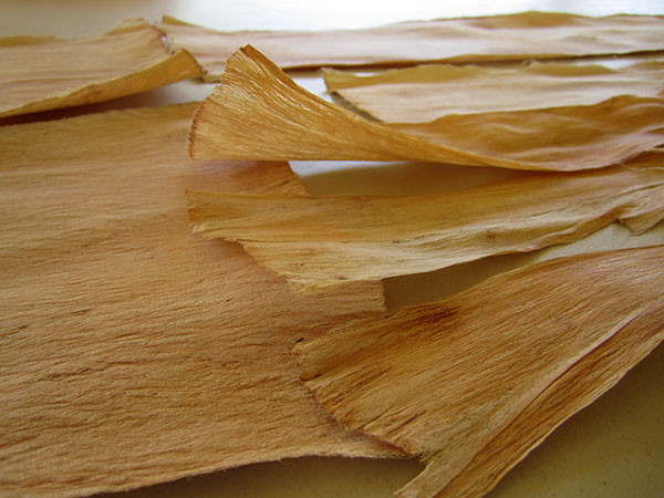 Dried bark cloth
