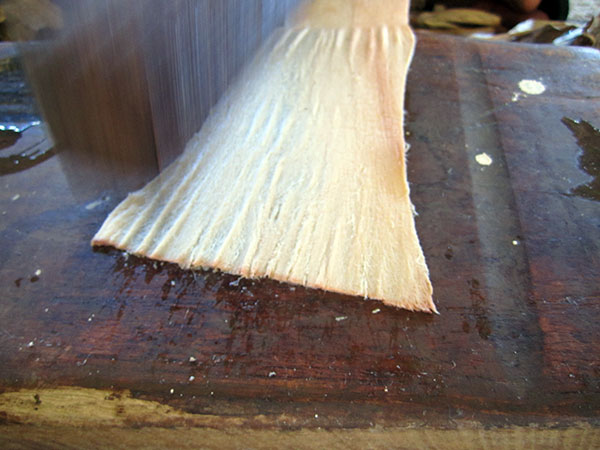 Initial beating of bark