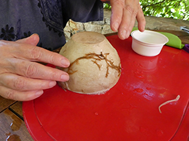 tapa bowl with fig fibres