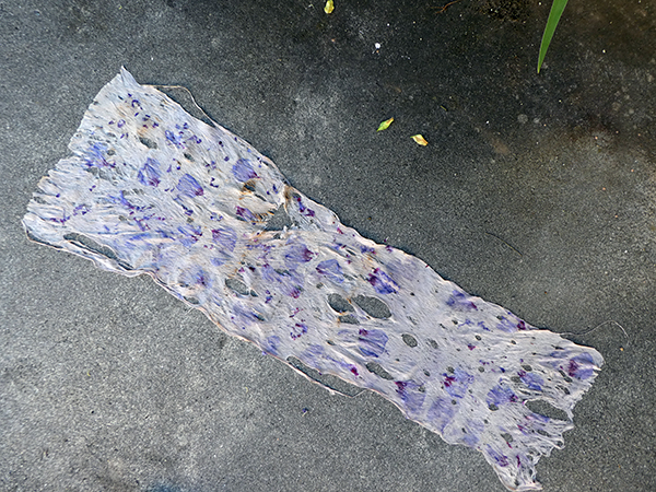 Tapa with Rose of Sharon petals