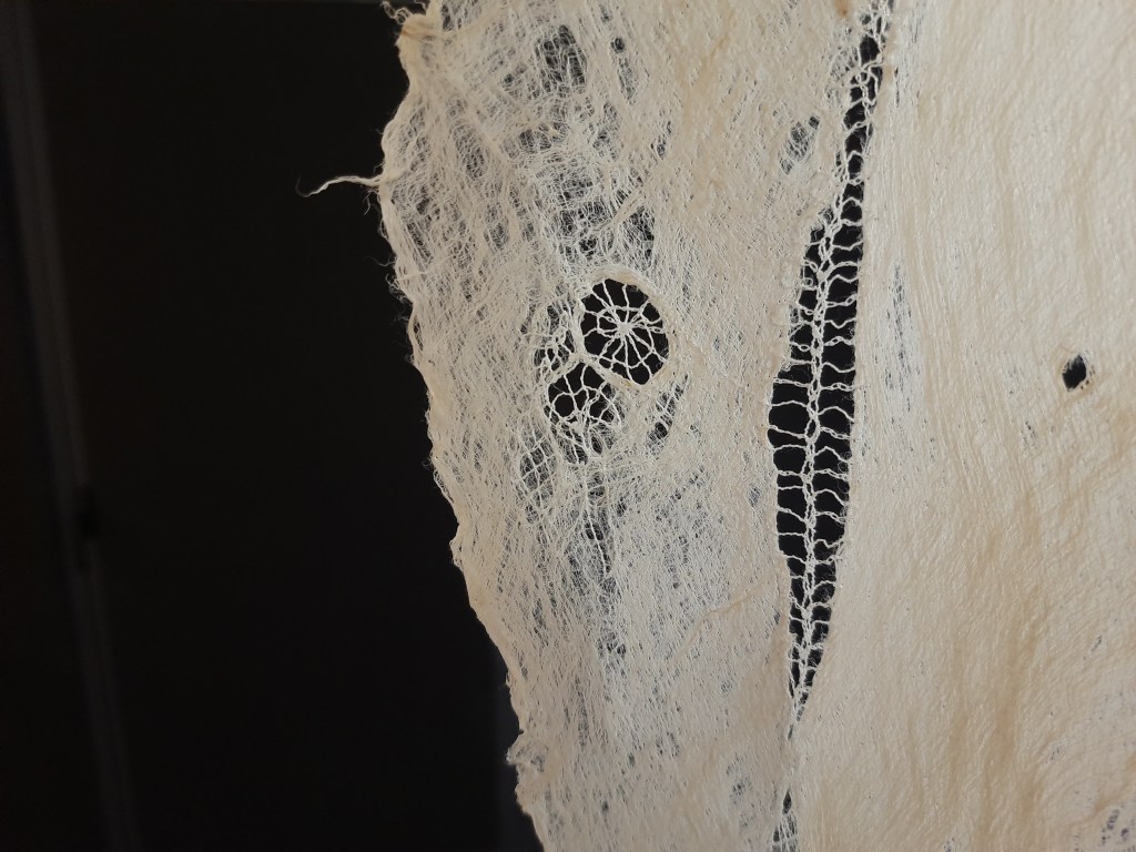 Detailed photo of lace insertion